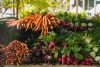 Eau et potager : l’influence méconnue de la dureté de l’eau sur vos légumes